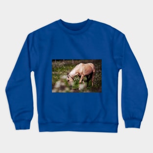 Horse Crewneck Sweatshirt